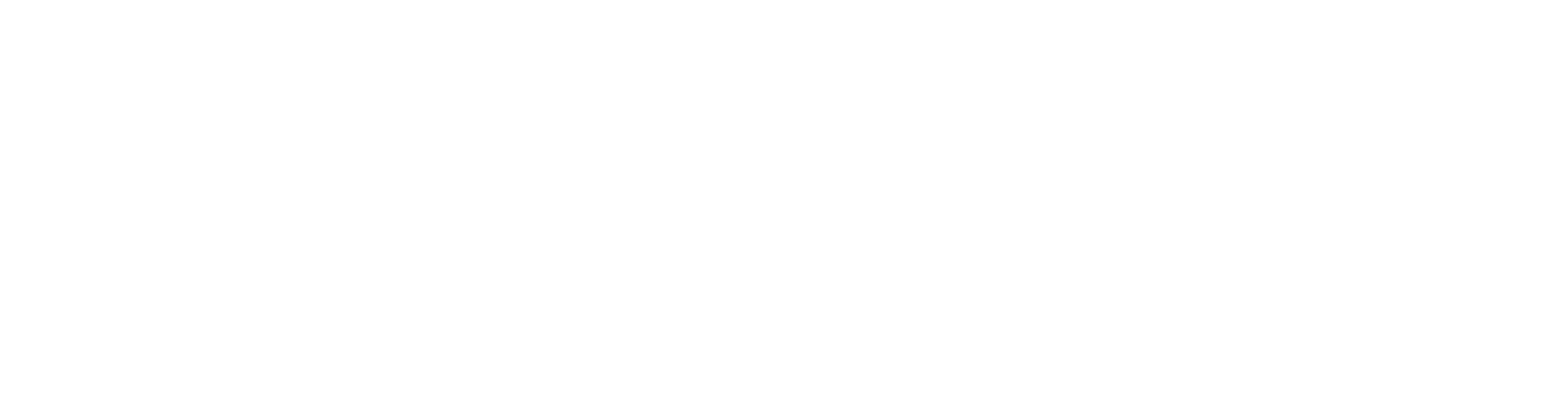 Dickow Pumpen GmbH & Co. KG