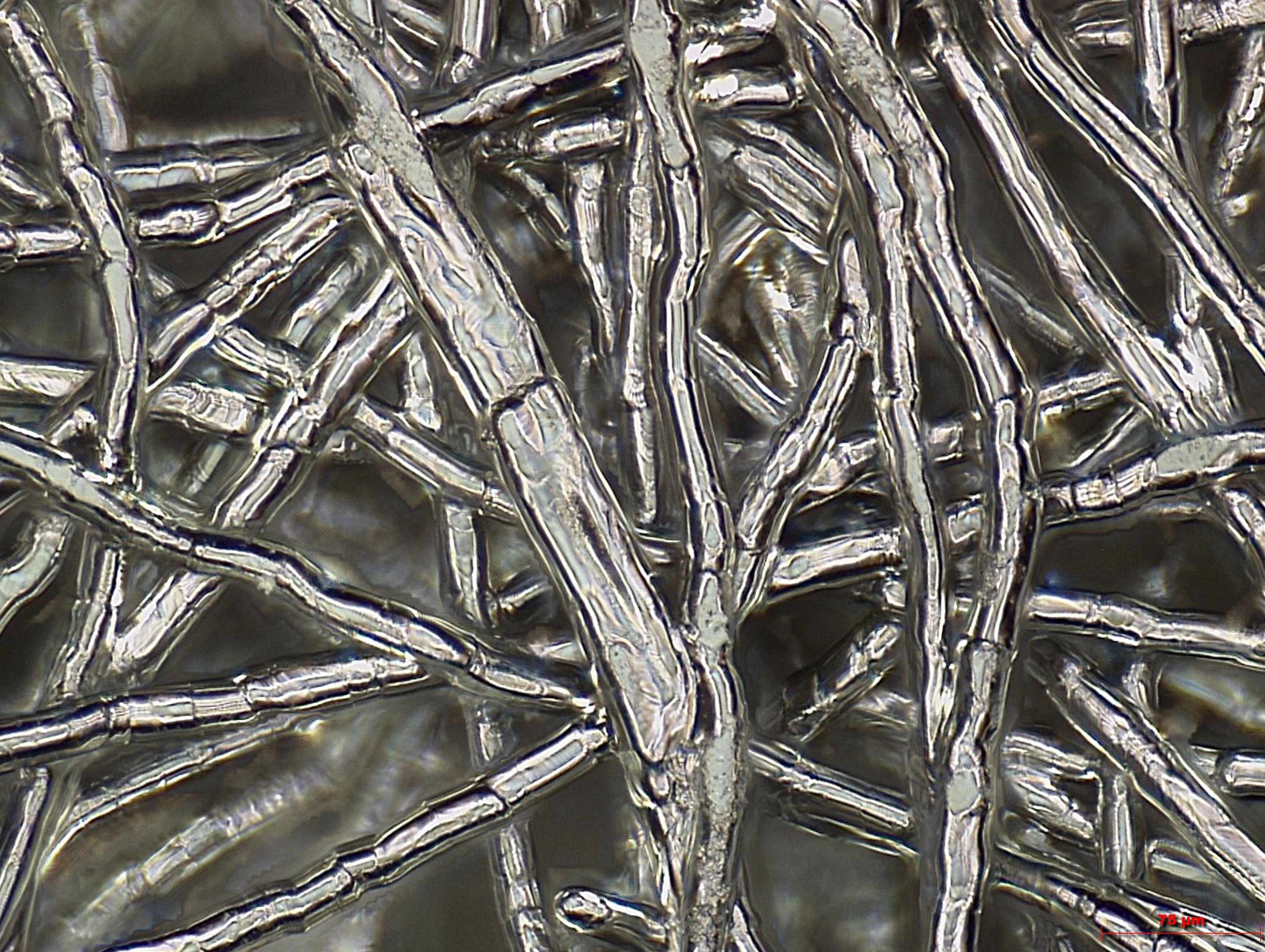10 nm High Performance Pt coating