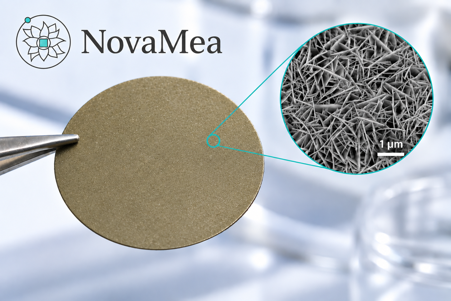 Anodes for AEM Water Electrolysis – NiFeOx Catalysts on Nickel Felt