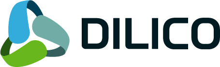 DILICO engineering