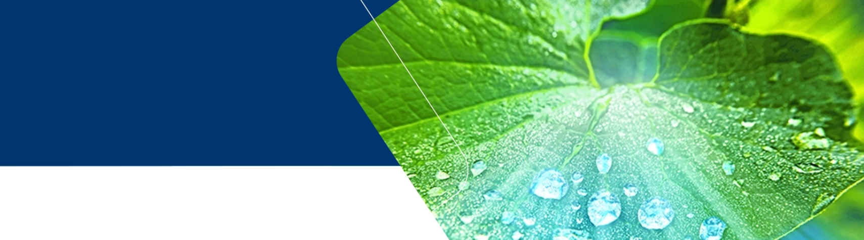 Green Hydrogen