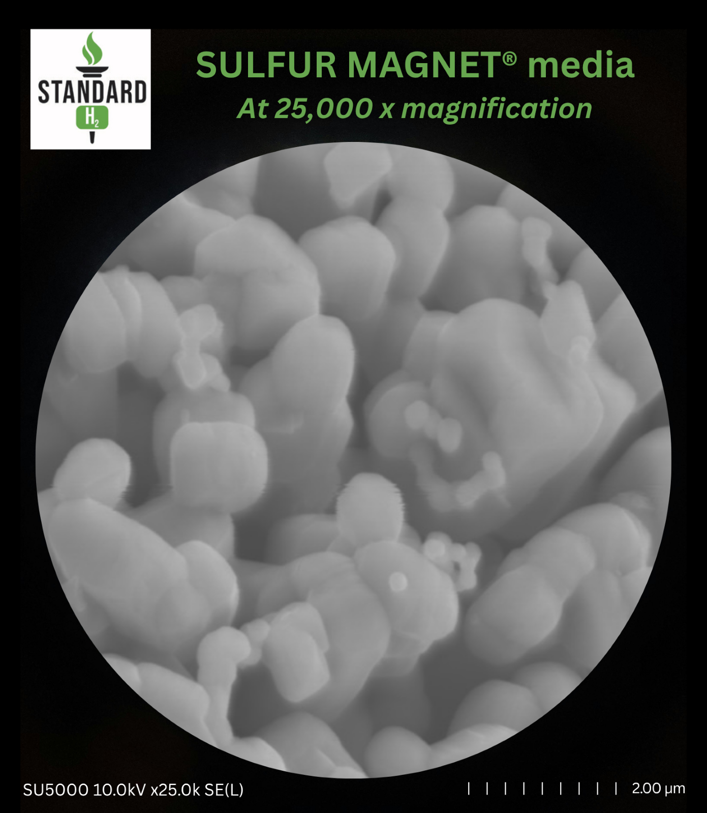 SULFUR MAGNET®