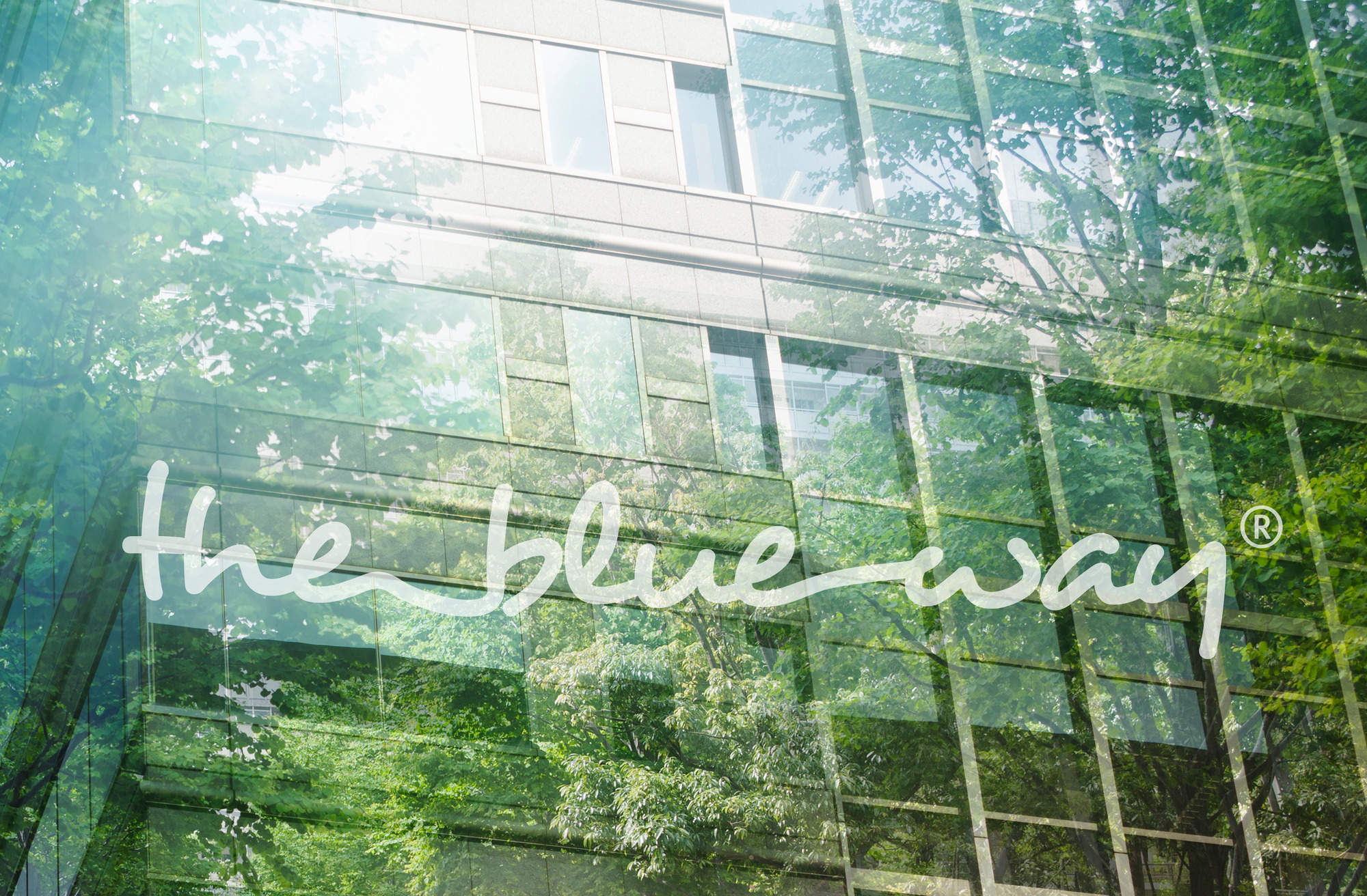 Drees & Sommer | THE BLUE WAY next exit